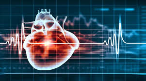 انواع الکتروکاردیوگرام یا EKG