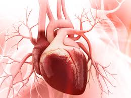 نتایج غیرطبیعی الکتروکاردیوگرام یا EKG