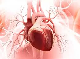 تاثیر دیابت بر قلب